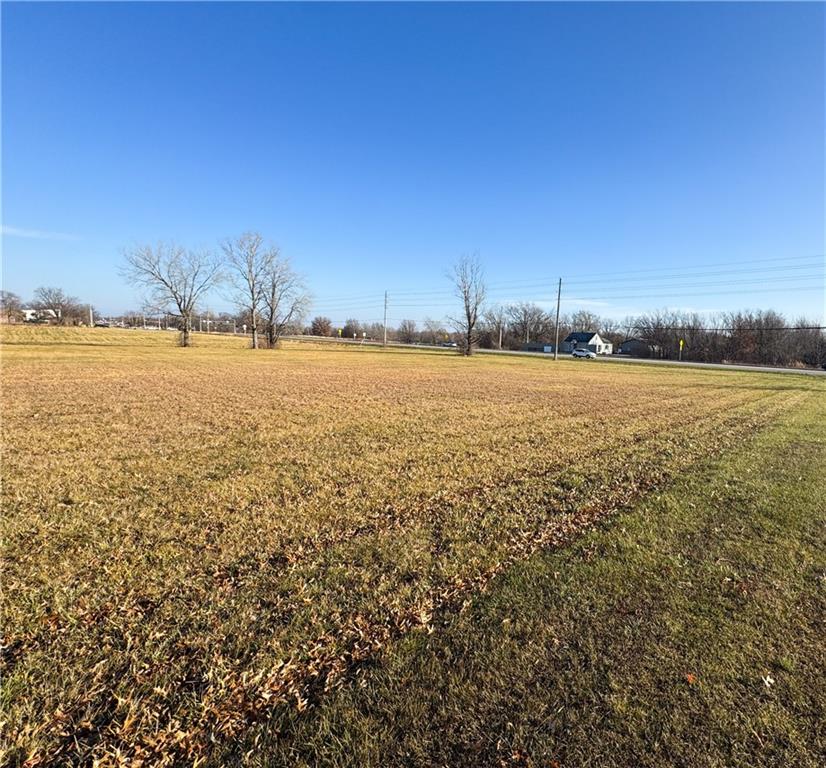 Listing Photo MLS #HMS2424428