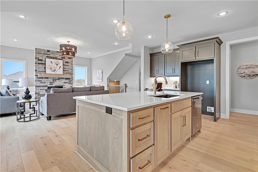 Listing Photo MLS #HMS2476917