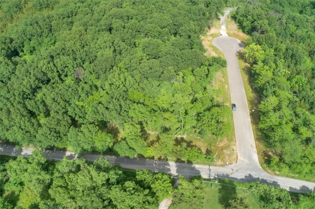 Listing Photo MLS #HMS2498074