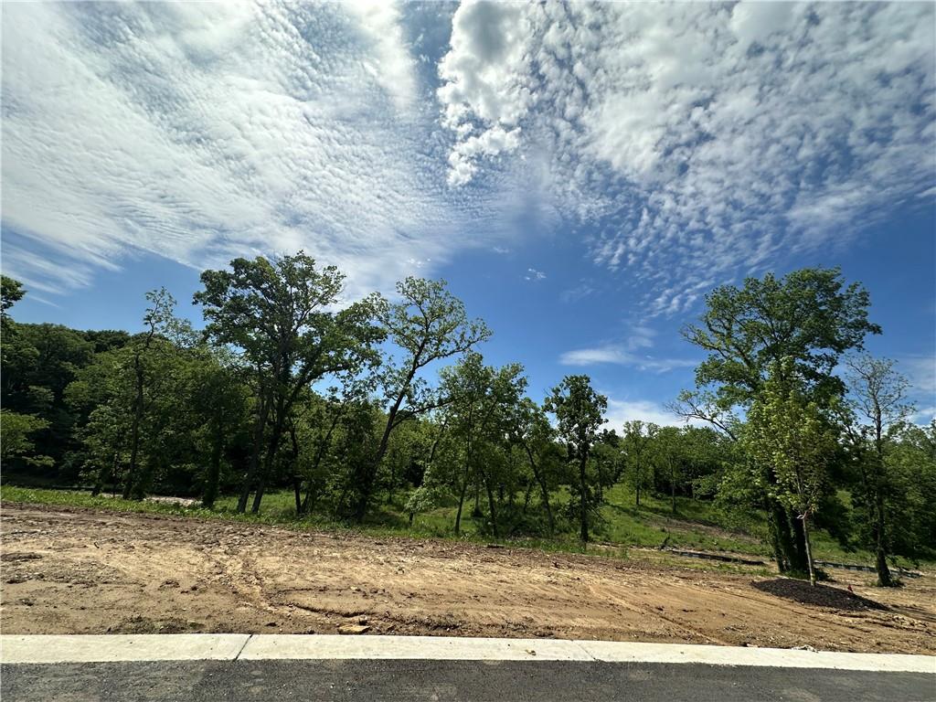 Listing Photo MLS #HMS2499885