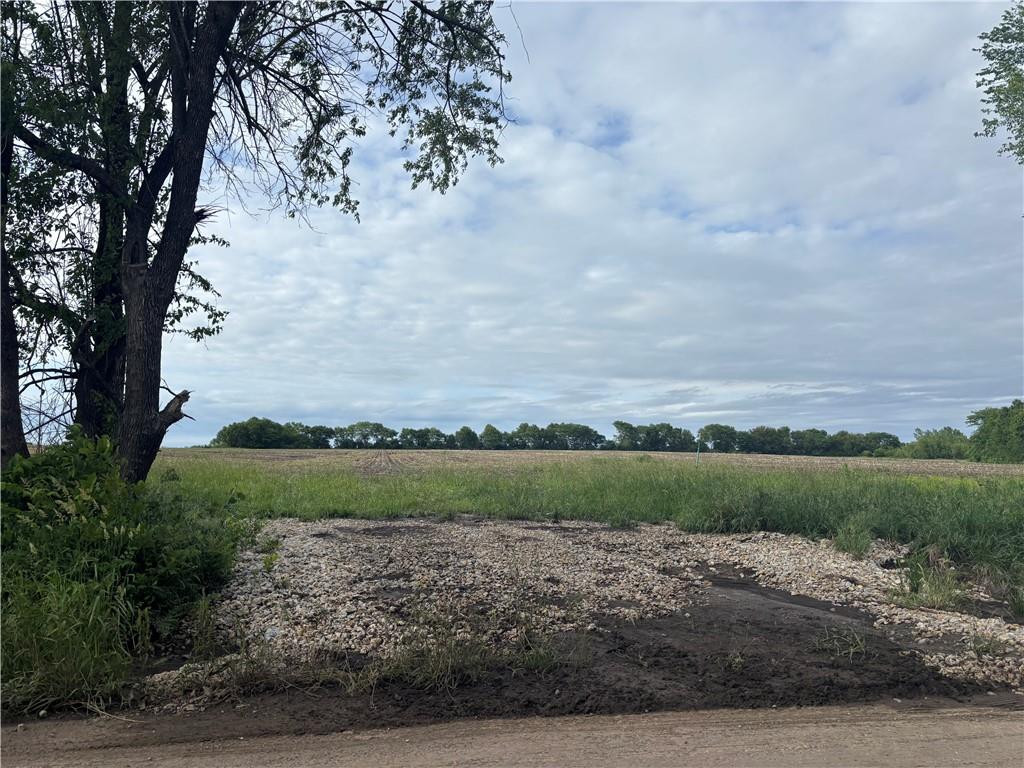 Listing Photo MLS #HMS2507540