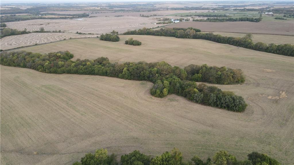 Listing Photo MLS #HMS2510000