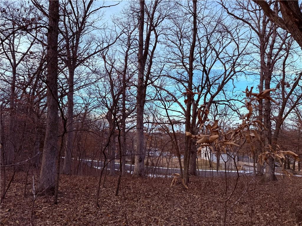 Listing Photo MLS #HMS2510004