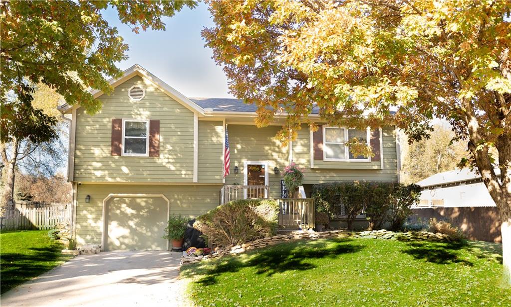 Listing Photo MLS #HMS2520152