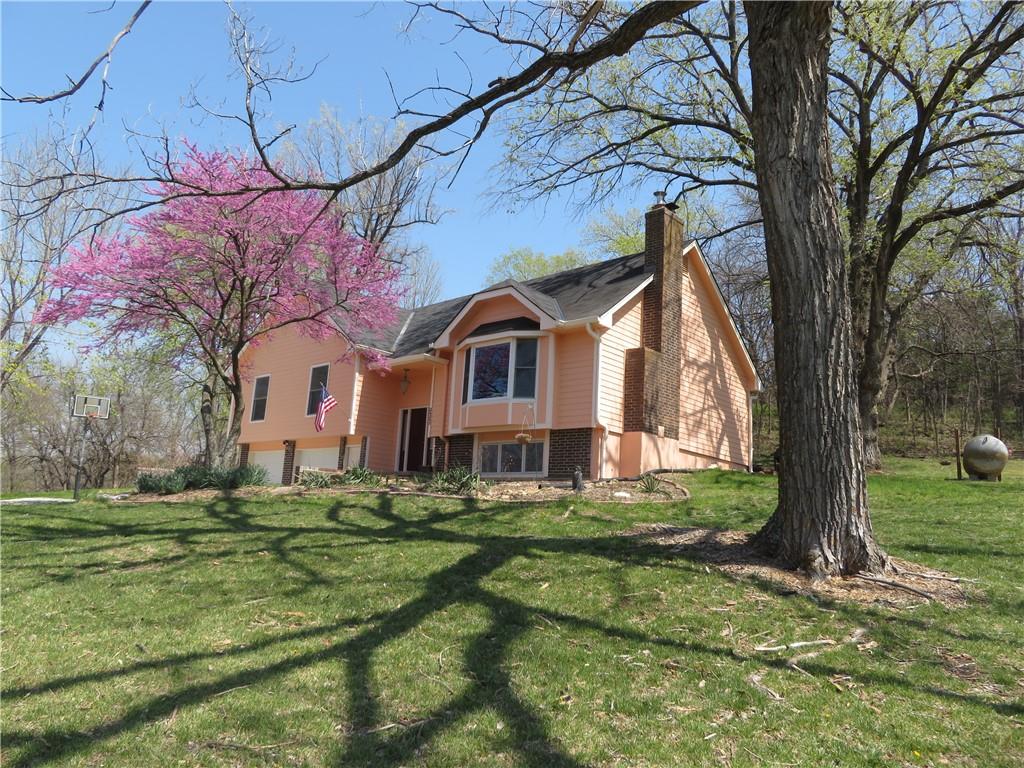 Listing Photo MLS #HMS2534283