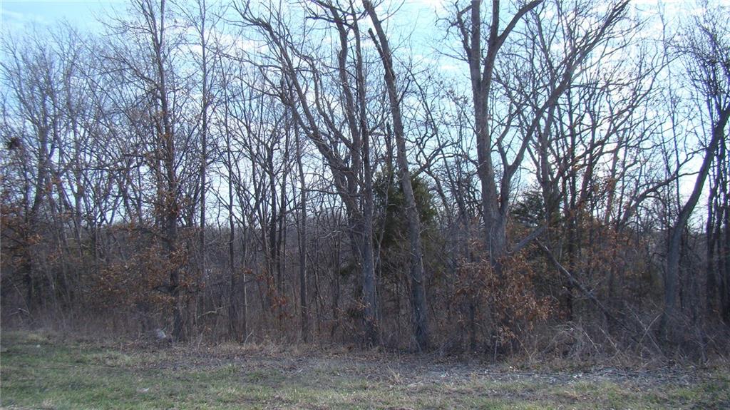 Listing Photo MLS #HMS2536217