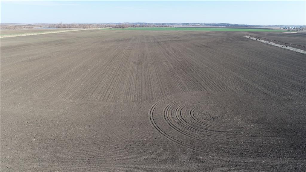 Listing Photo MLS #HMS2542415