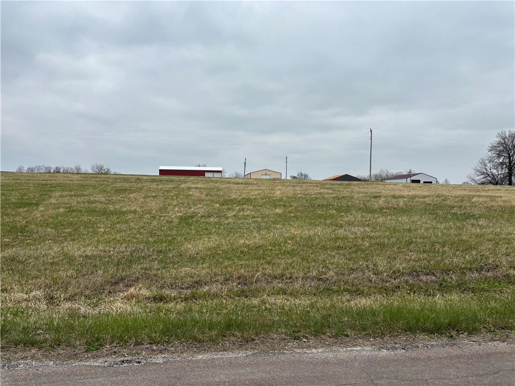 Listing Photo MLS #HMS2542953