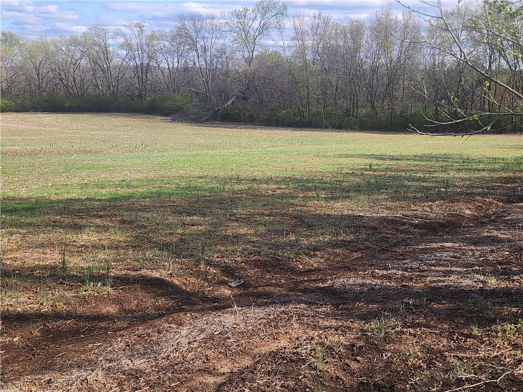 Listing Photo MLS #HMS2544211