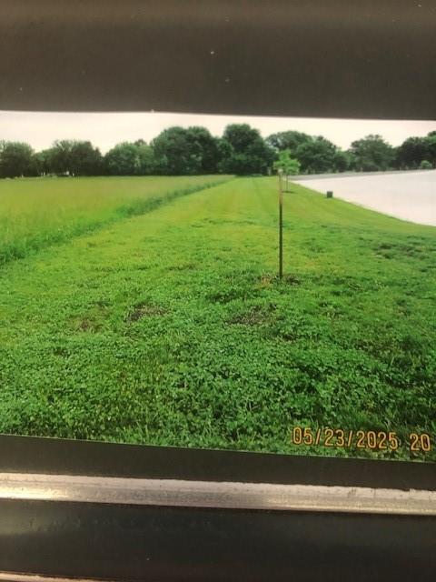 Listing Photo MLS #HMS2544222