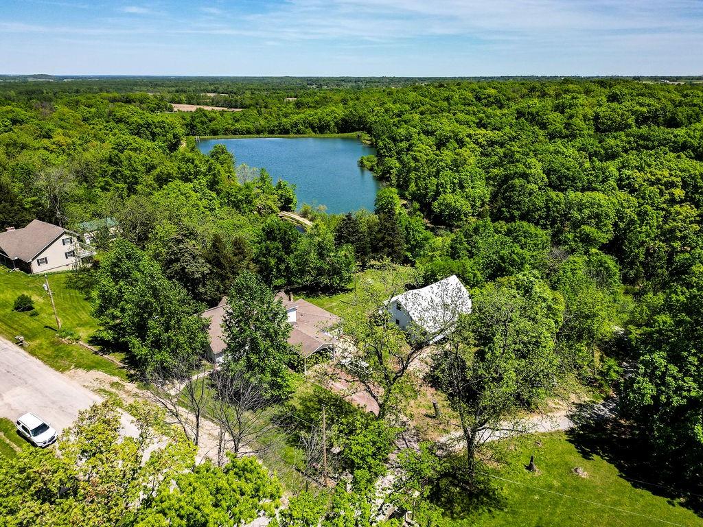 Listing Photo MLS #HMS2547944