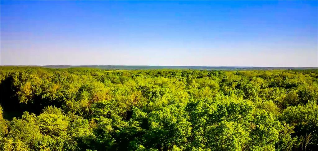 Listing Photo MLS #HMS2549422