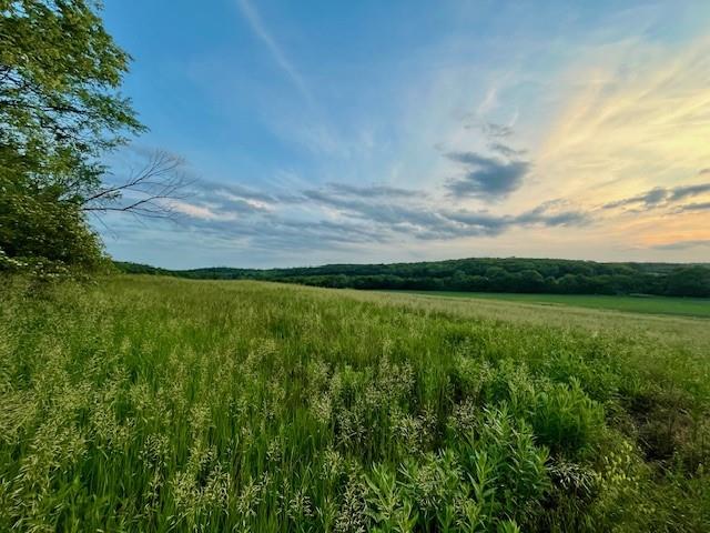 Listing Photo MLS #HMS2554948