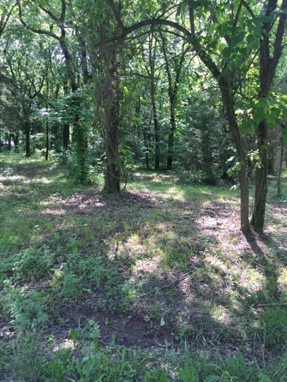 Listing Photo MLS #HMS2555003