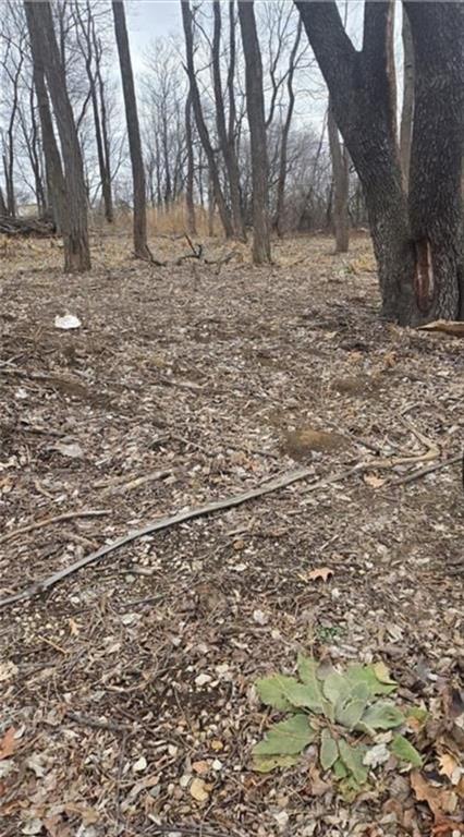 Listing Photo MLS #HMS2556946