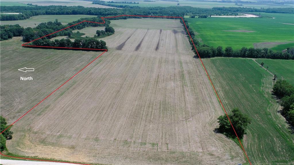 Listing Photo MLS #HMS2557464