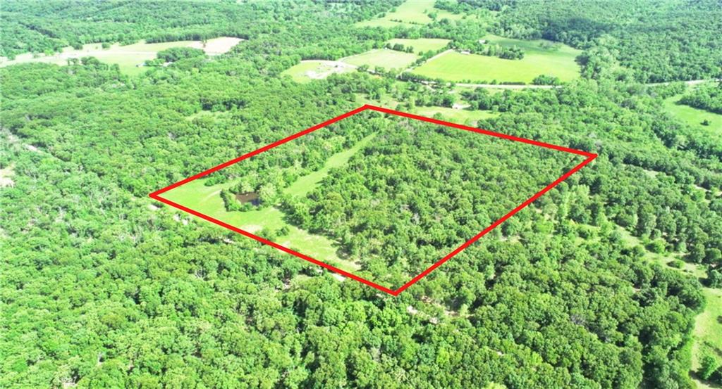 Listing Photo MLS #HMS2557999