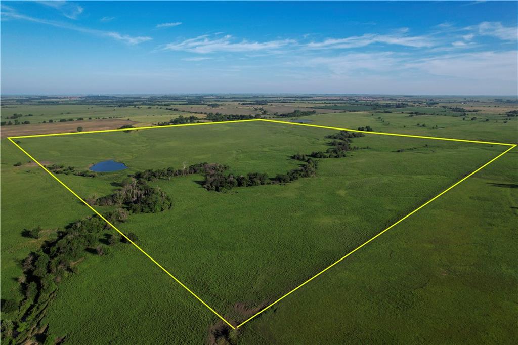 Listing Photo MLS #HMS2558985