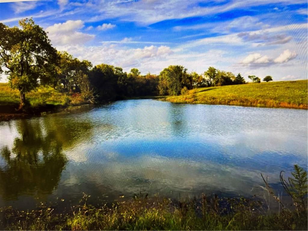 Listing Photo MLS #HMS2561430