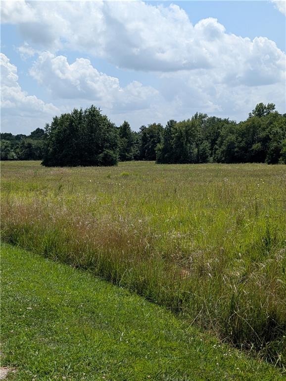 Listing Photo MLS #HMS2563648