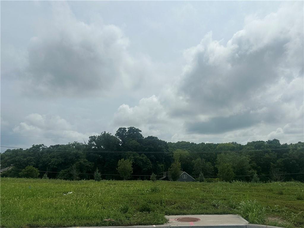 Listing Photo MLS #HMS2563781