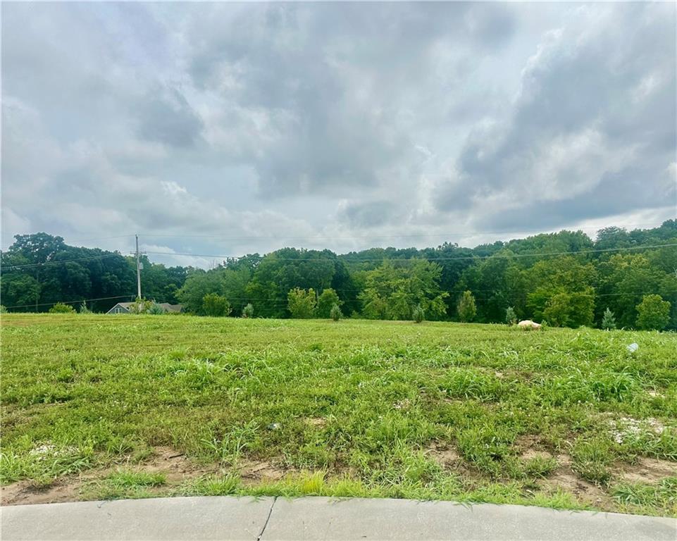 Listing Photo MLS #HMS2563852