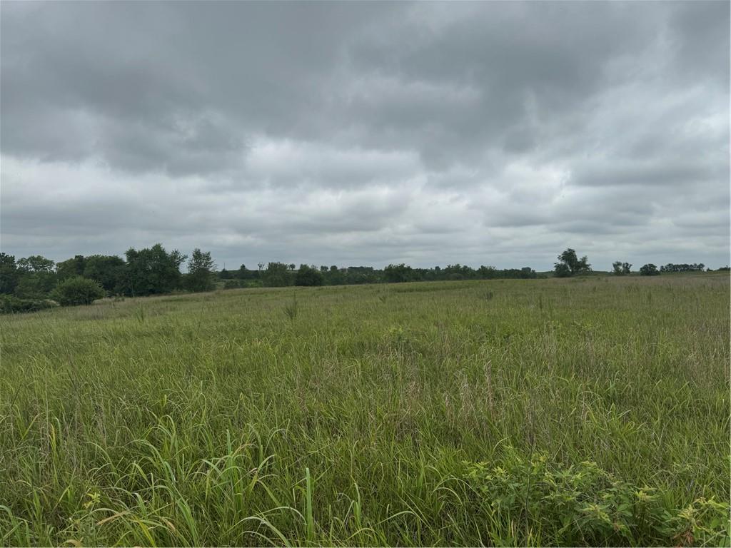 Listing Photo MLS #HMS2564211