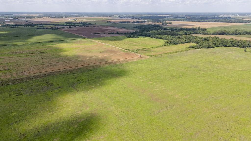 Listing Photo MLS #HMS2567077