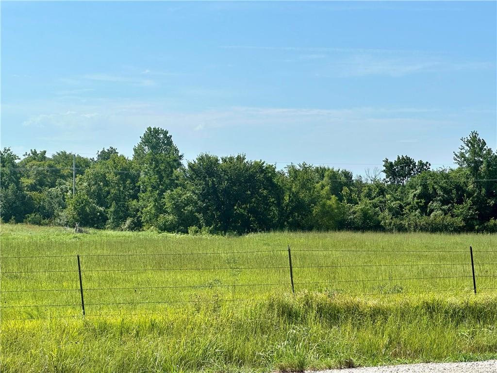 Listing Photo MLS #HMS2568114