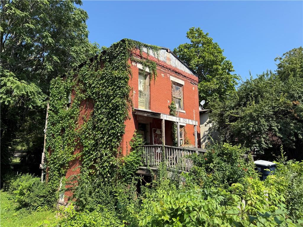 Listing Photo MLS #HMS2568960