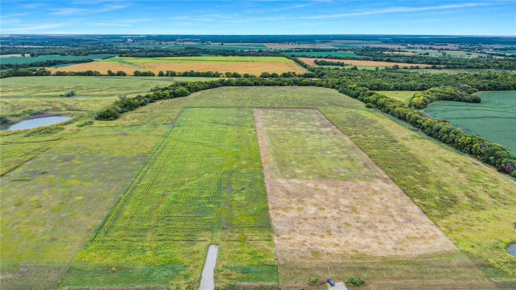 Listing Photo MLS #HMS2569379