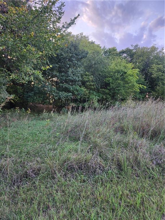 Listing Photo MLS #HMS2571284