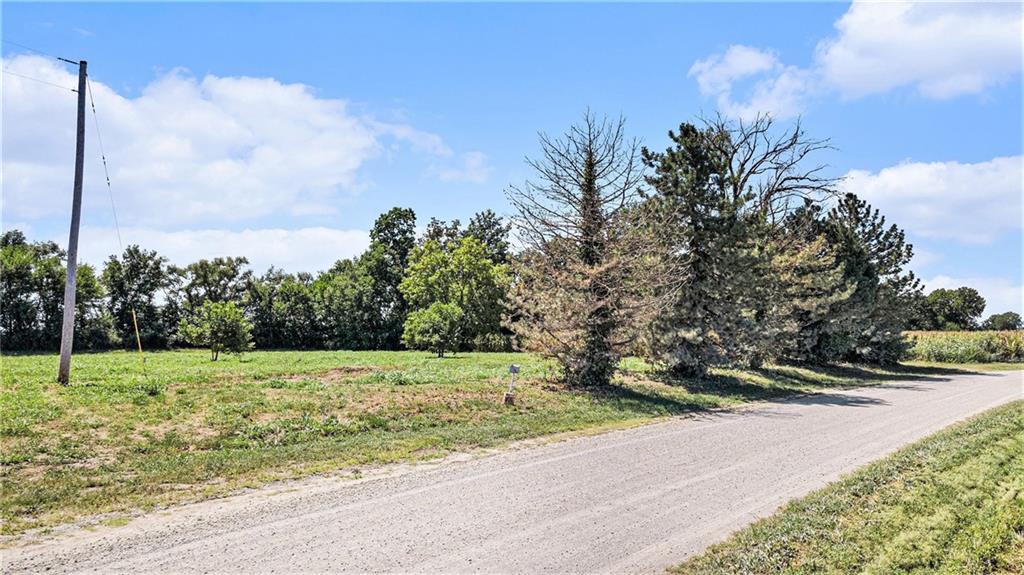 Listing Photo MLS #HMS2571471
