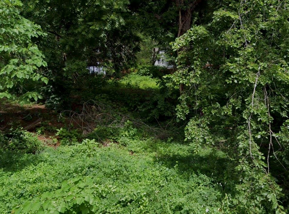 Listing Photo MLS #HMS2572453