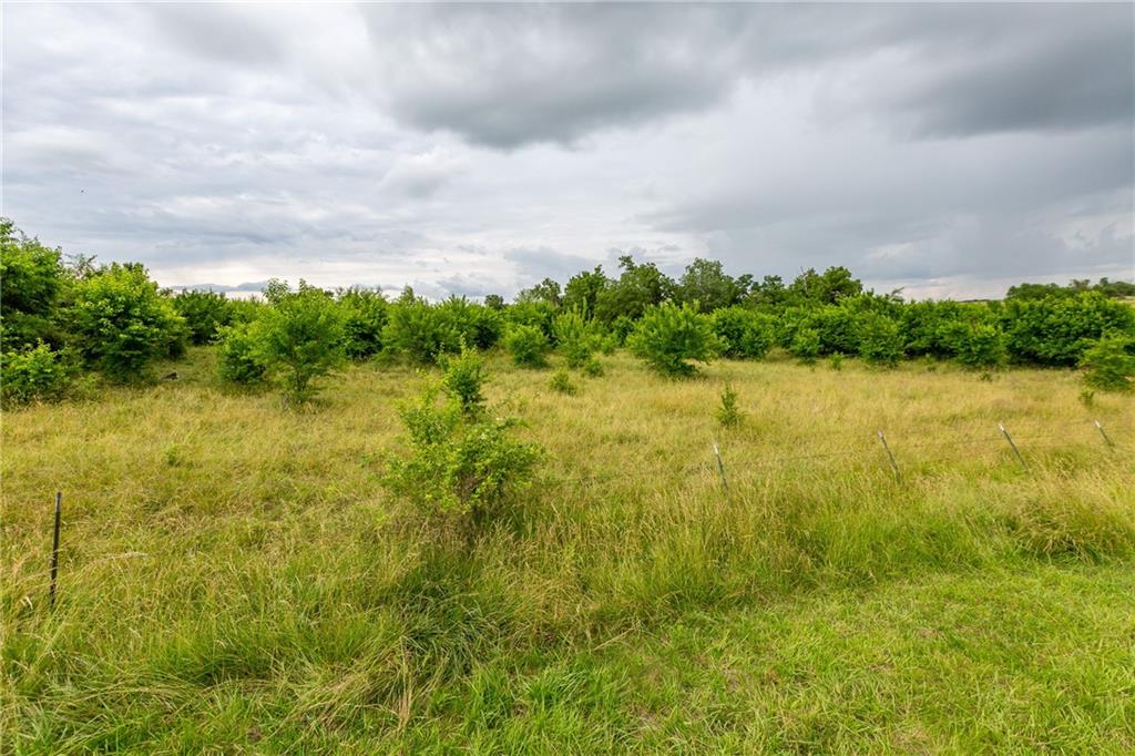 Listing Photo MLS #HMS2572464