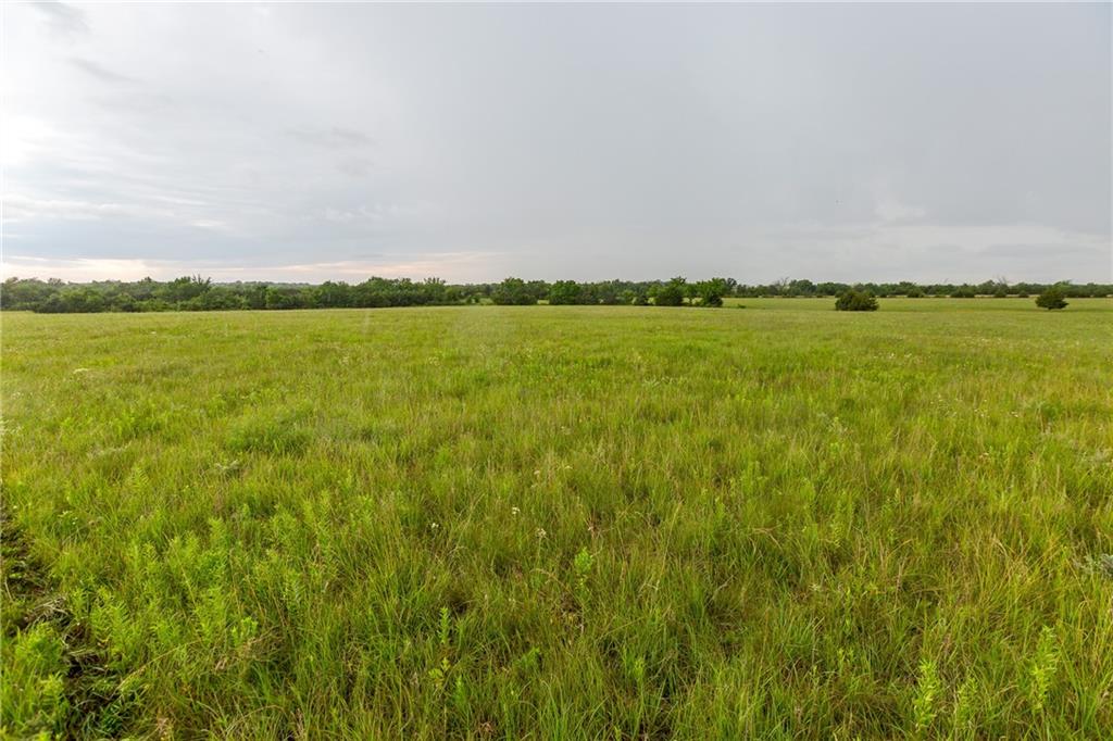 Listing Photo MLS #HMS2572466