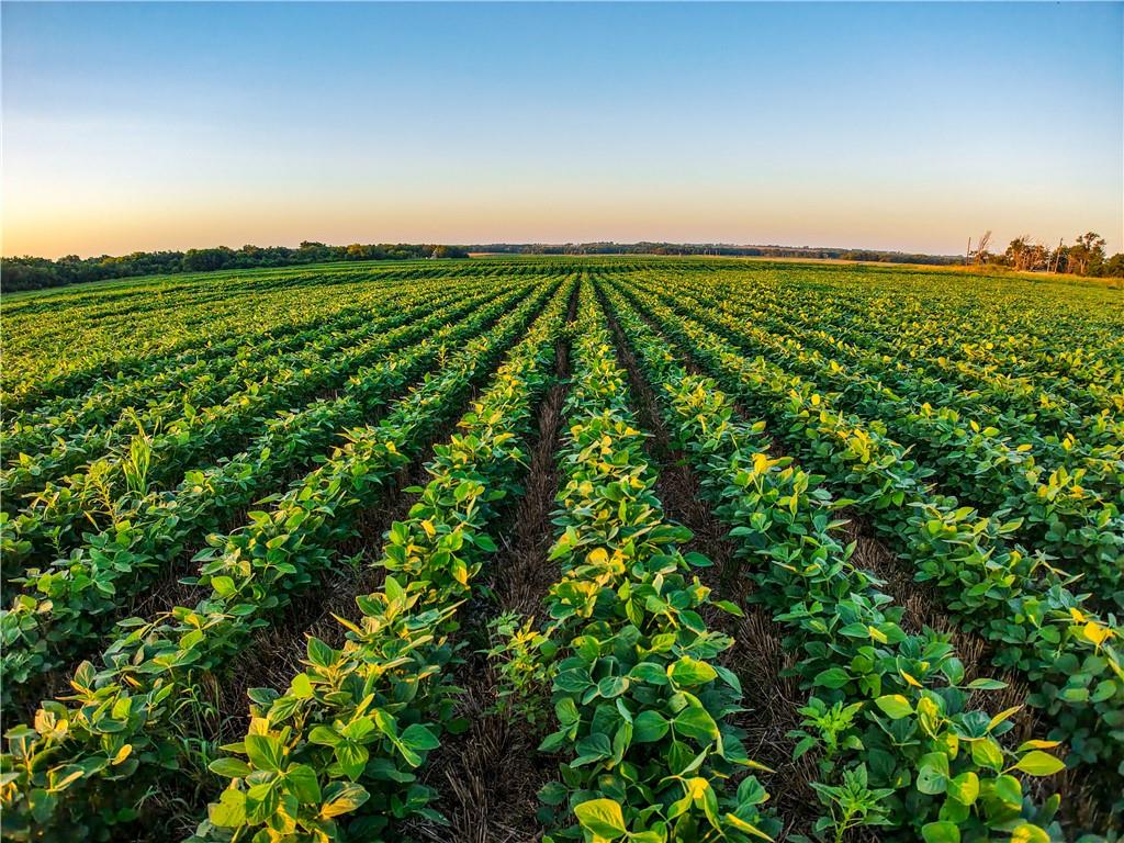 Listing Photo MLS #HMS2573791