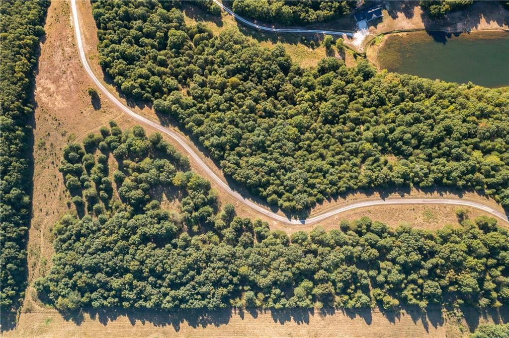 Listing Photo MLS #HMS2573854