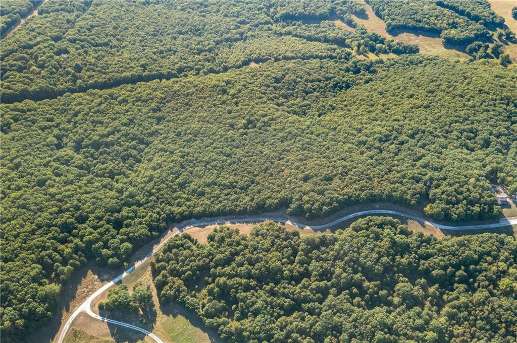 Listing Photo MLS #HMS2573860