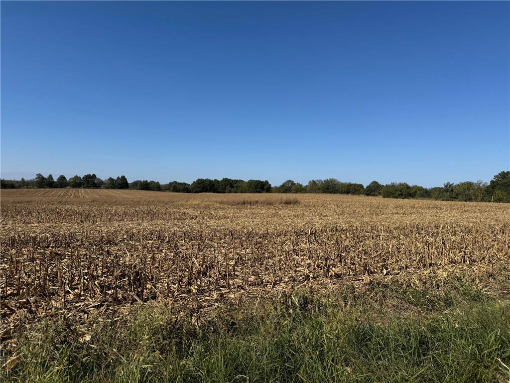 Listing Photo MLS #HMS2574474