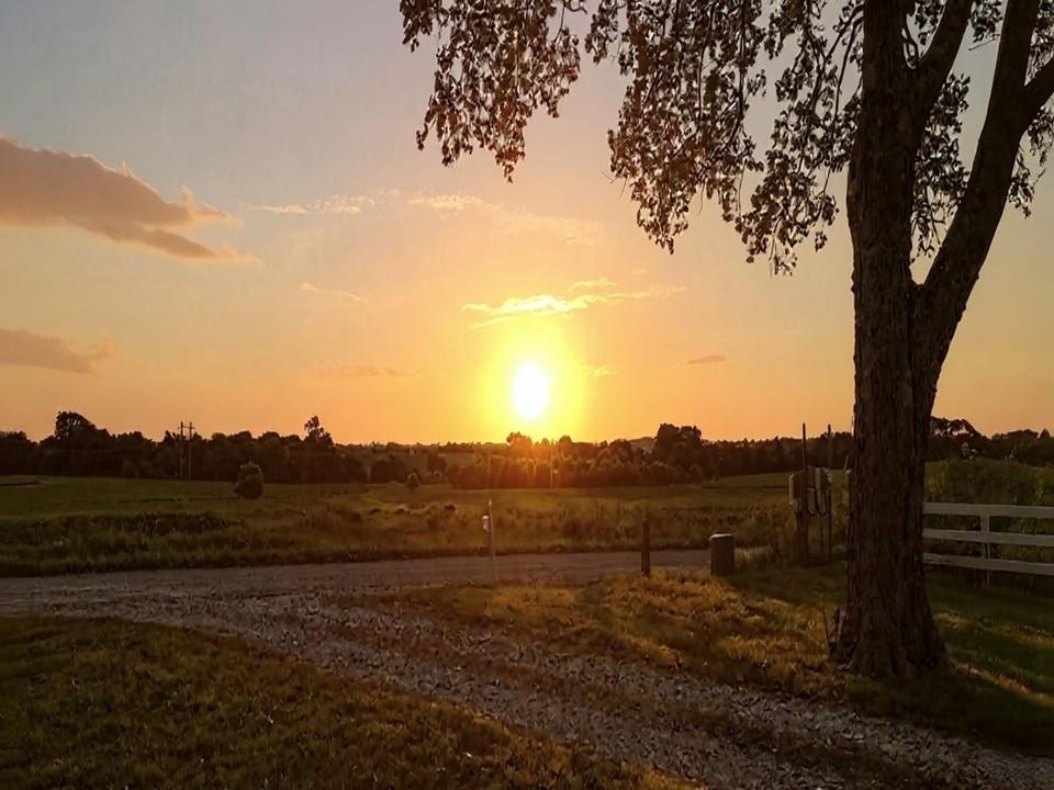 Listing Photo MLS #HMS2574702