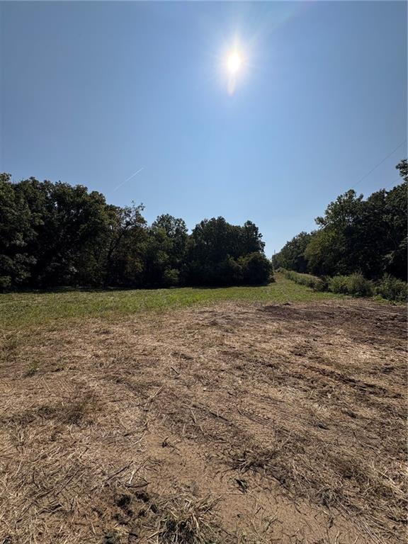 Listing Photo MLS #HMS2574794