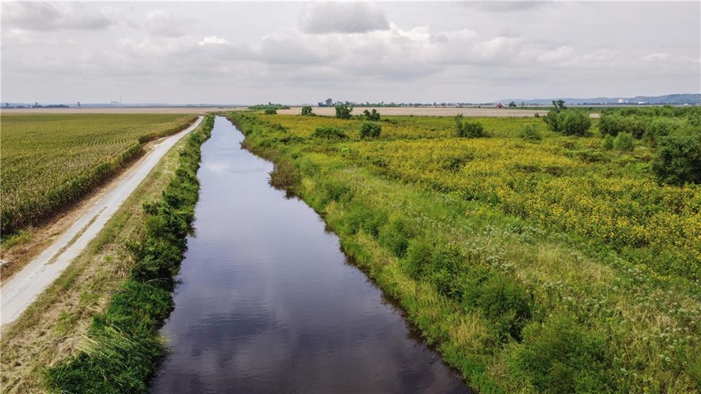 Listing Photo MLS #HMS2582914