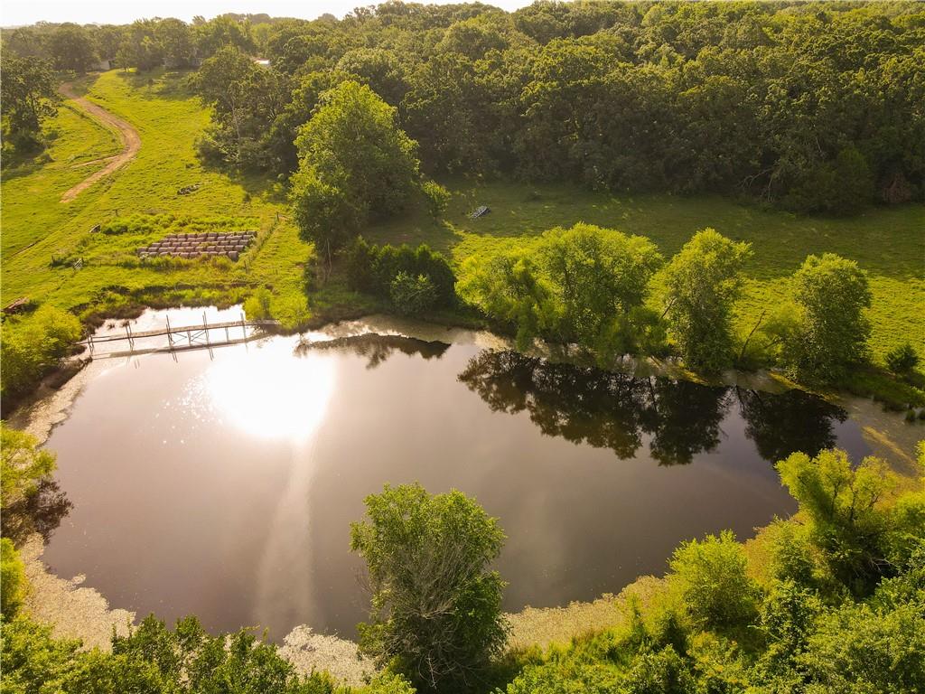 Listing Photo MLS #HMS2583012