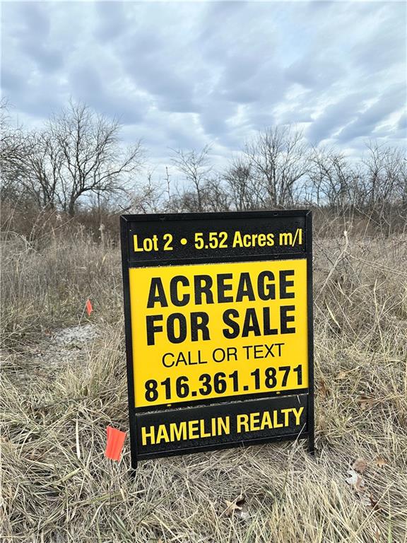 Listing Photo MLS #HMS2583799