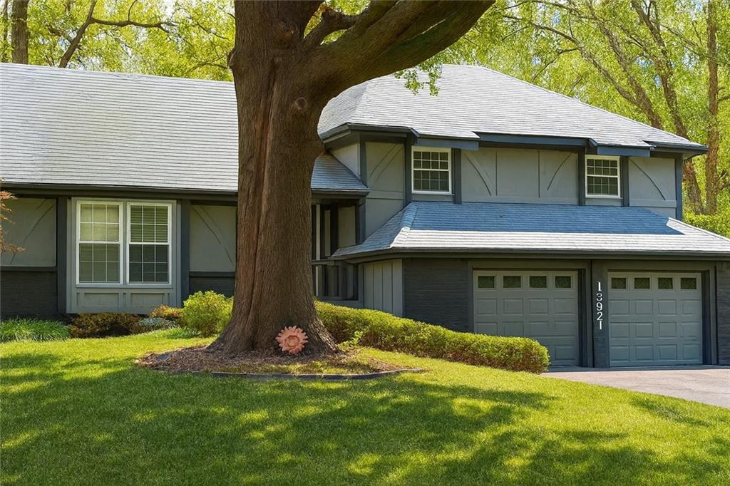 Listing Photo MLS #HMS2584181