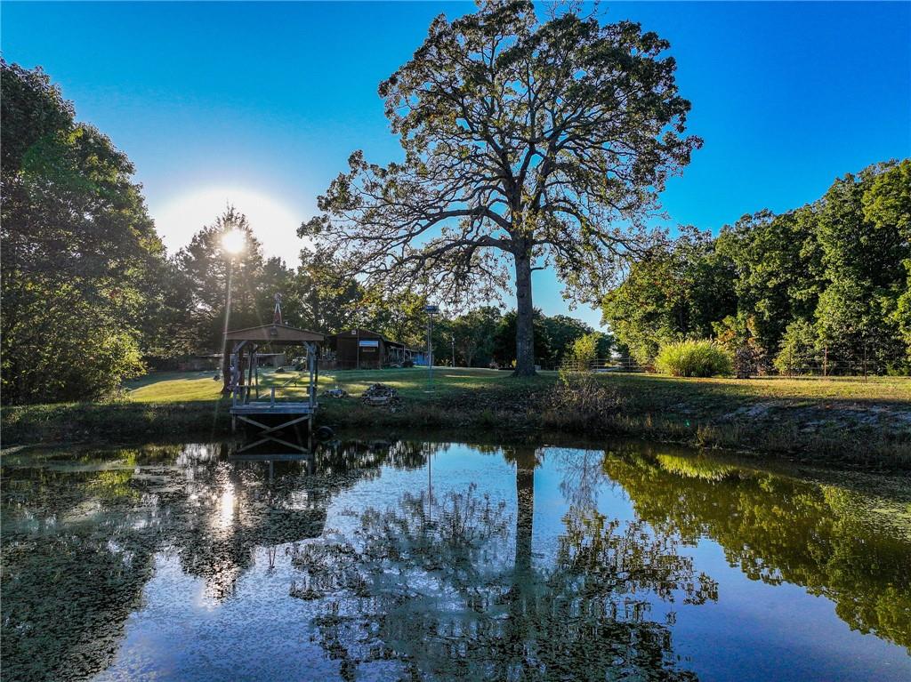 Listing Photo MLS #HMS2584380