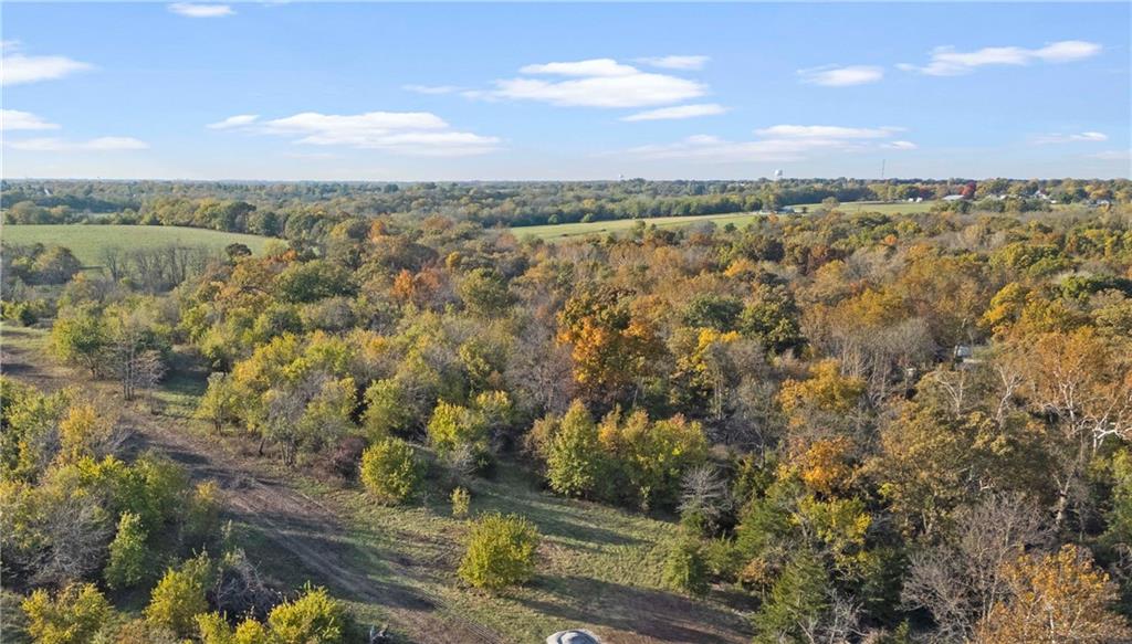 Listing Photo MLS #HMS2584999