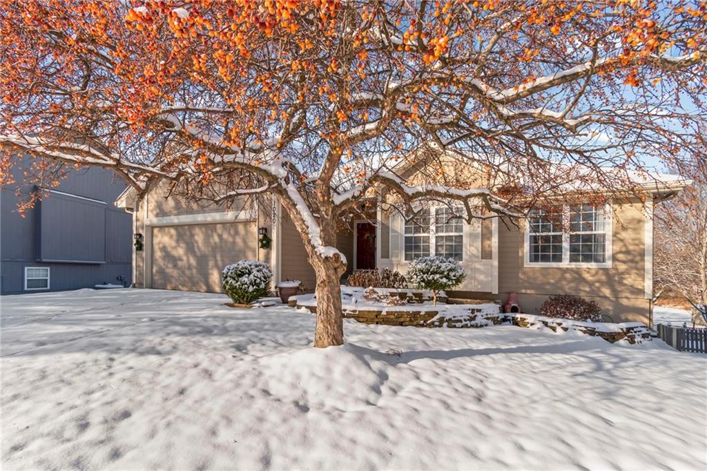 Listing Photo MLS #HMS2586694