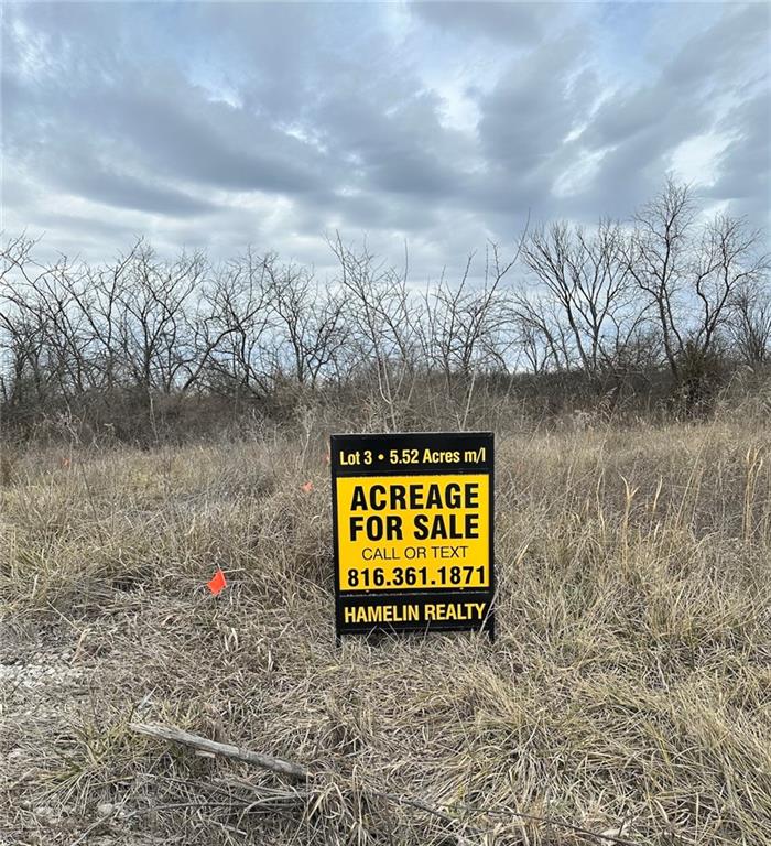 Listing Photo MLS #HMS2586846